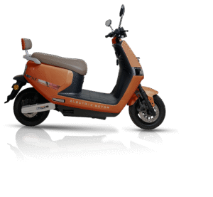 IMG_1556 orange